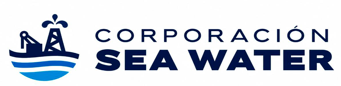 3-logo-CSW-sobre-blanco